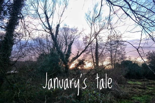 January’s tale: The magician’s house